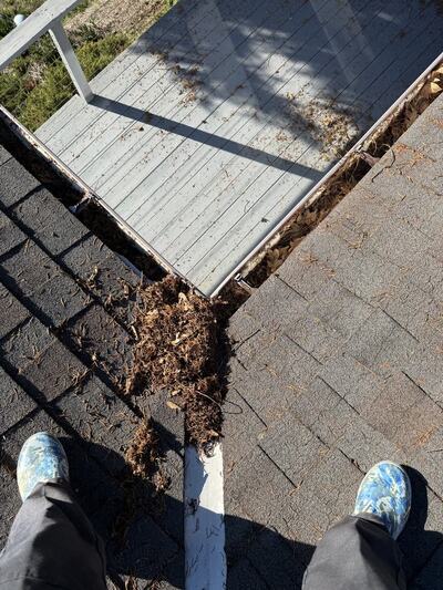 closeup of fir needles cleared from a clogged gutter in Vancouver