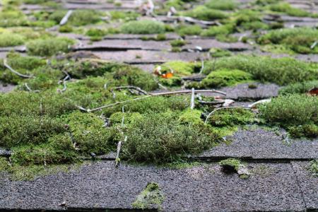 The Importance of Emergency Roof Cleaning Services for Home Safety and Maintenance