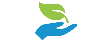 Plant wash