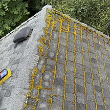 Roof-Cleaning-in-Vancouver-Why-Moss-Removal-Before-Winter-Is-Critical 2