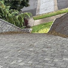 Roof-Cleaning-in-Vancouver-Why-Moss-Removal-Before-Winter-Is-Critical 3