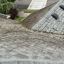 Roof-Cleaning-in-Vancouver-Why-Moss-Removal-Before-Winter-Is-Critical 4