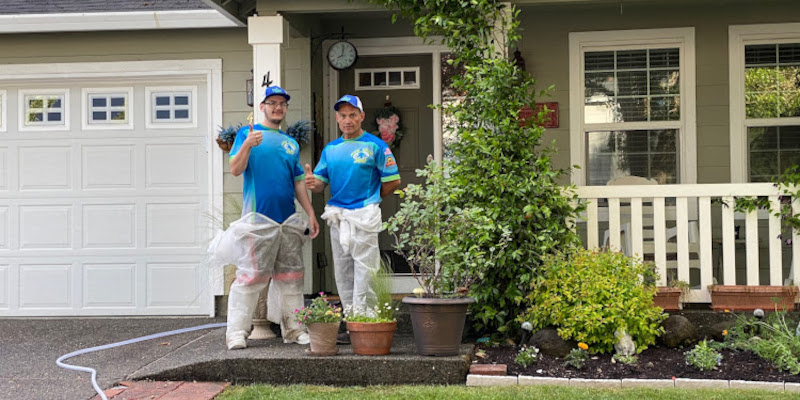House washing