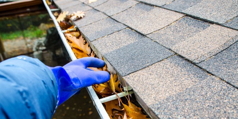 Gutter cleaning
