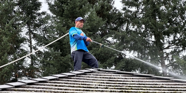 Moss removal