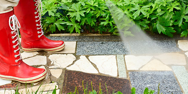 Sidewalk & Walkway Cleaning